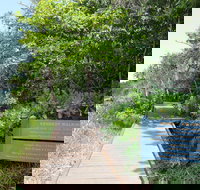 Kennedy Walking Track