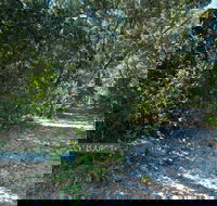 Lillypilly loop trail