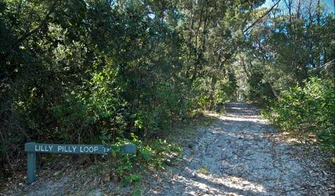 Lillypilly Loop Trail - Sydneys Hotel 0