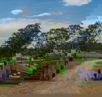 Moorebank Vineyard