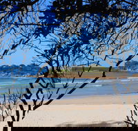 Sandon Beach - Sydneys Hotel