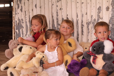 Tambo Teddies - Sydneys Hotel 0