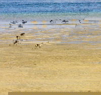 Towra Beach - Sydneys Hotel