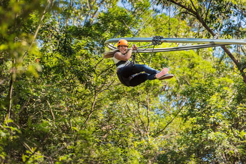 TreeTop Crazy Rider - Sydneys Hotel 0