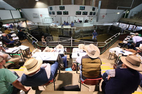 Wagga Wagga Livestock Marketing Centre - Sydneys Hotel 2