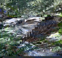 Washpools waterhole - Sydneys Hotel