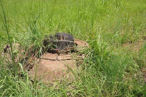 Brocks Creek Chinatown And Temple Site - Sydneys Hotel 0