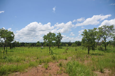 Brocks Creek Chinatown And Temple Site - Sydneys Hotel 1