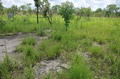 Brocks Creek Chinatown And Temple Site - Sydneys Hotel 2