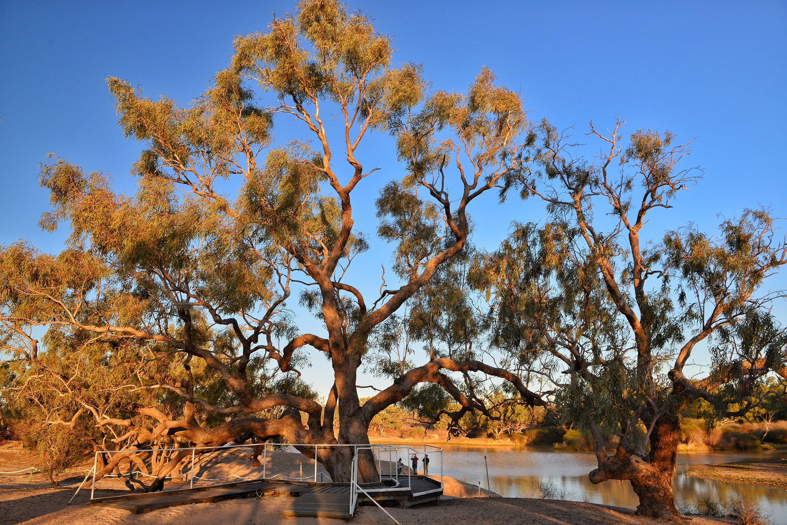 Durham Downs QLD Sydneys Hotel