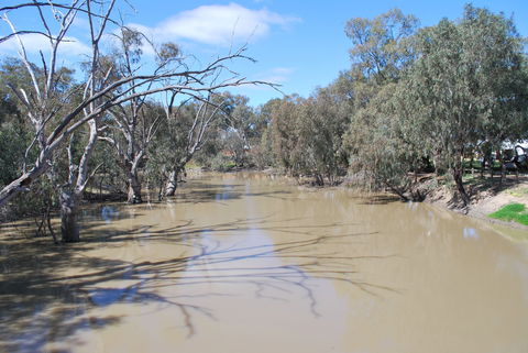 Bush Tucker Trail - Sydneys Hotel 0