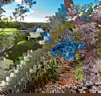 Corkwood and Scribbly Gum Walking Track - Sydneys Hotel