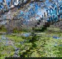 Macquarie Valley Trails - Sydneys Hotel