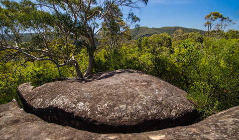 Marramarra Ridge To Smugglers Ridge Walking Track - Sydneys Hotel 0