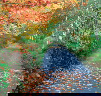 Mount Wilson and Mount Irvine