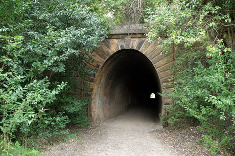 Mushroom Tunnel - Sydneys Hotel 0