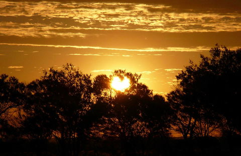 Paroo-Darling National Park - Sydneys Hotel 0