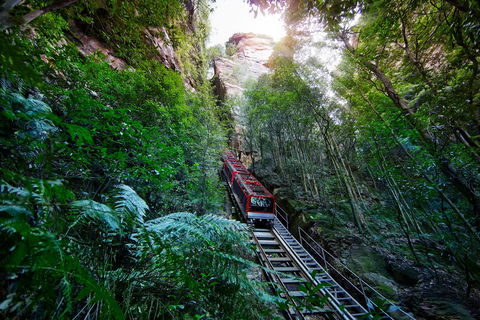 Scenic World Blue Mountains - Sydneys Hotel 0