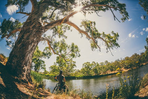 Sturt Gorge Recreation Park - Sydneys Hotel 0
