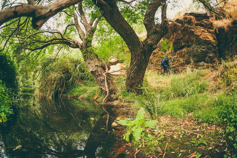 Sturt Gorge Recreation Park - Sydneys Hotel 1
