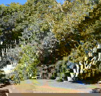 Anzac Avenue Memorial Trees Beerburrum