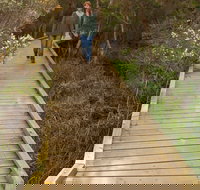 Balcombe Creek Estuary Boardwalk