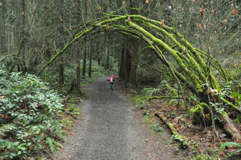 Bridle Trail - Sydneys Hotel 0