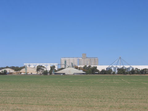 Co-operative Bulk Handling (CBH) Wheat Storage And Transfer Depot - Sydneys Hotel 1