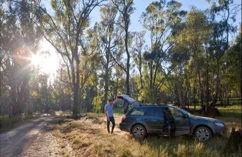 Forest Drive, Murrumbidgee Valley National Park - Sydneys Hotel 0