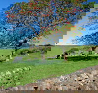 Historic Dry Stone Walls Kiama - Sydneys Hotel