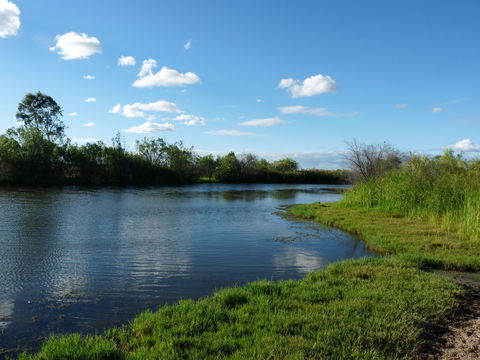 Lagoon Creek - Sydneys Hotel 2
