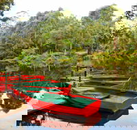 Lane Cove National Park - Sydneys Hotel