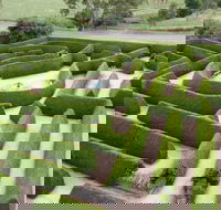 Mintaro Maze - Sydneys Hotel