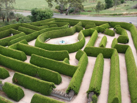 Mintaro Maze - Sydneys Hotel 0