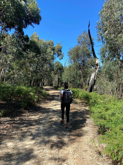 Mt Everard Circuit - Sydneys Hotel 0