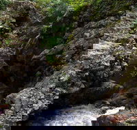 Potoroo Falls walk - Sydneys Hotel