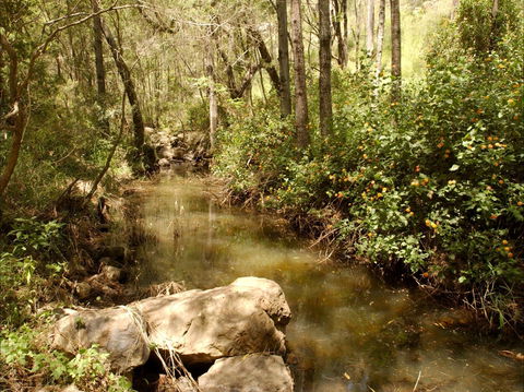 Sandy Creek Track - Sydneys Hotel 0