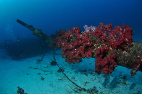 Severance Shipwreck Dive Site - Sydneys Hotel 2