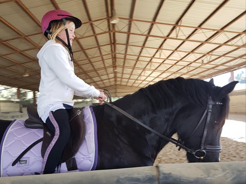 The Equine Club - Sydneys Hotel 1