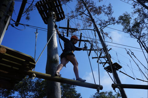 Trees Adventure Nowra Park - Sydneys Hotel 0
