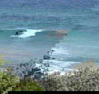 Trigg Island Beach - Sydneys Hotel