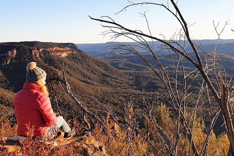 Ultimate Blue Mountains Waterfalls, Walks & Sunset PRIVATE Tour - Sydneys Hotel 5