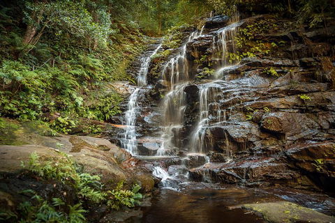 Ultimate Blue Mountains Waterfalls, Walks & Sunset PRIVATE Tour - Sydneys Hotel 10
