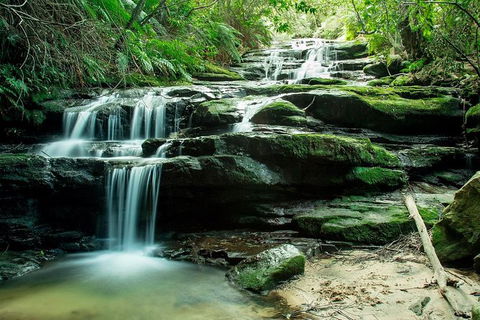 Ultimate Blue Mountains Waterfalls, Walks & Sunset PRIVATE Tour - Sydneys Hotel 2
