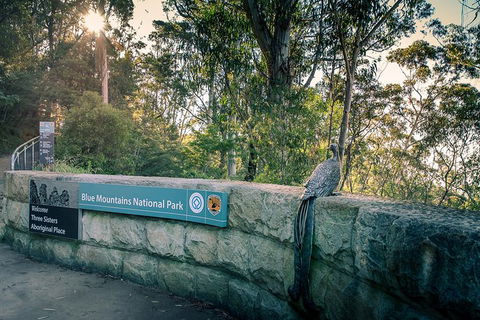 Ultimate Blue Mountains Waterfalls, Walks & Sunset PRIVATE Tour - Sydneys Hotel 8