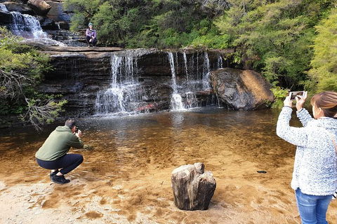 Ultimate Blue Mountains Waterfalls, Walks & Sunset PRIVATE Tour - Sydneys Hotel 0