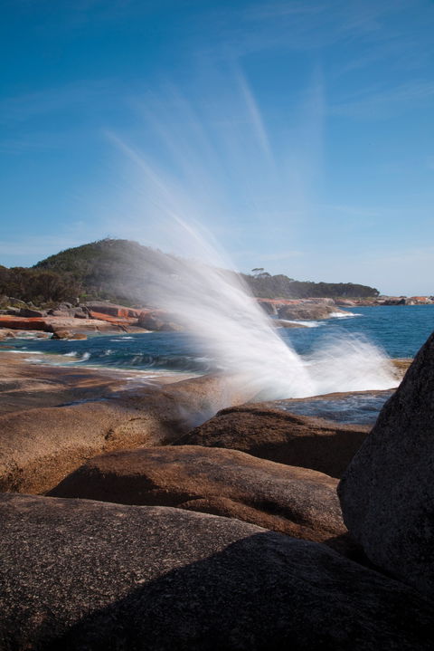 Bicheno Blowhole - Sydneys Hotel 0