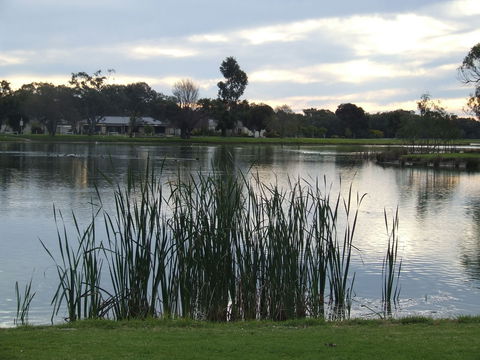Luke Park And Jerilderie Lake - Sydneys Hotel 2