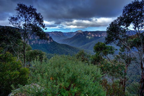Ultimate Blue Mountains And Wildlife Tour - Sydneys Hotel 6