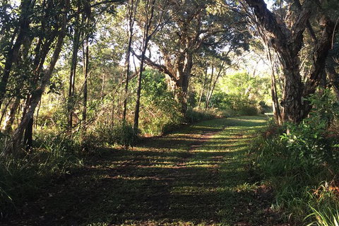 Coffs Harbour To Sawtell Bike Ride - Sydneys Hotel 7